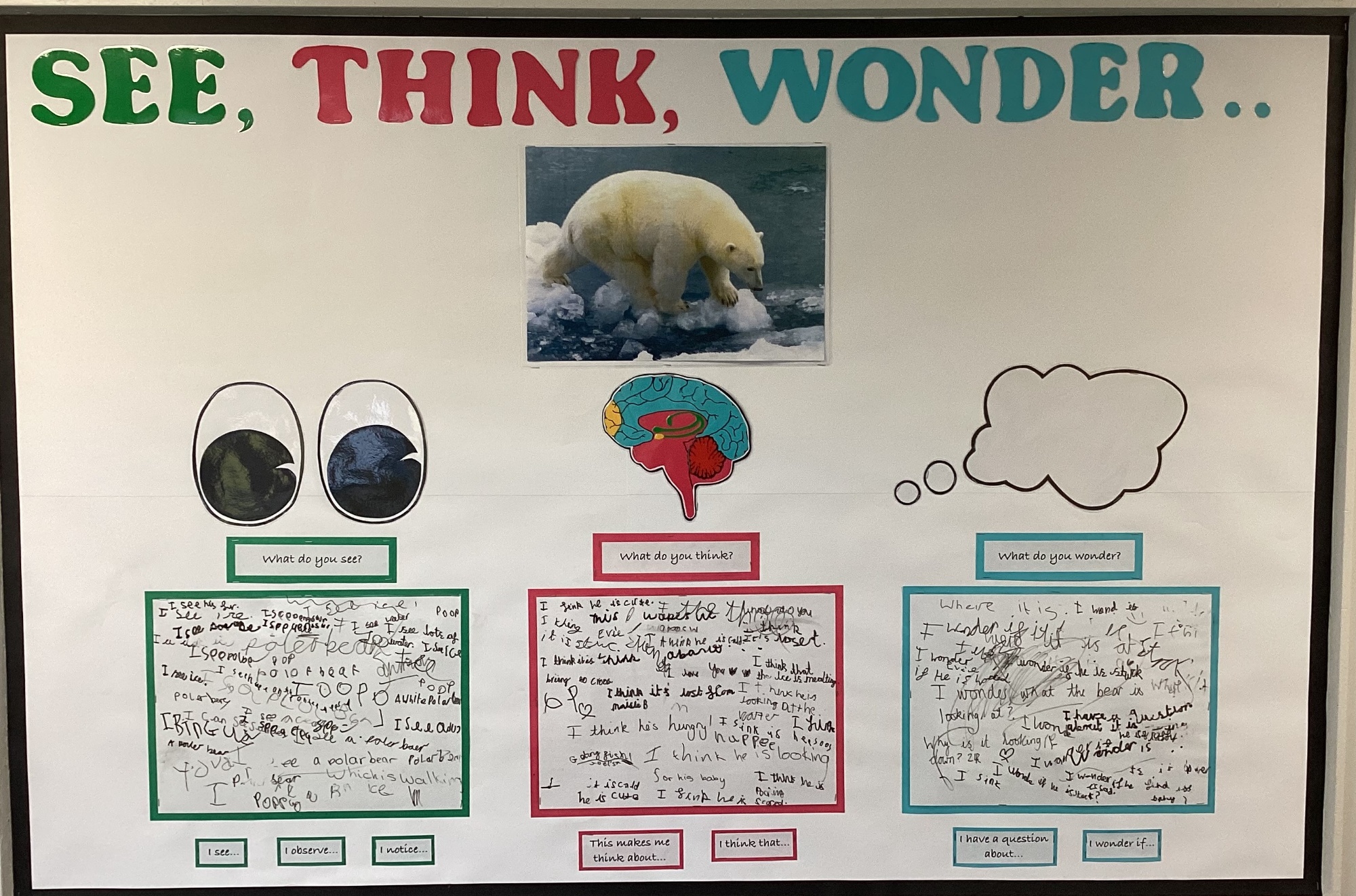 KS1 Interactive Display - See, Think, Wonder February 2026