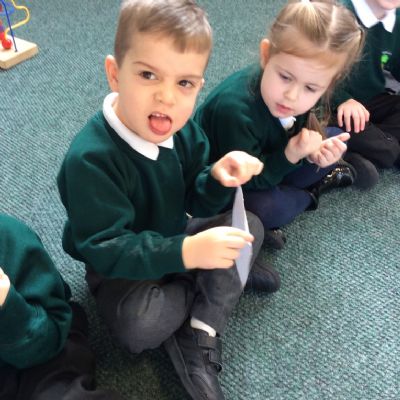 Science Investigations