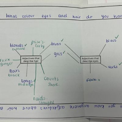 French - Thinking Frames & Visible Thinking Routines