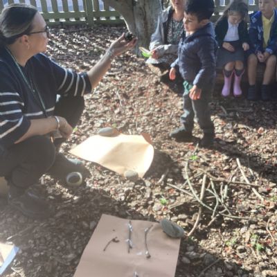 Forest Learning- Autumn