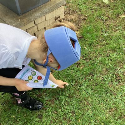 Science - we can identify wild plants in our environment.