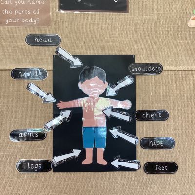Being a scientist- naming and labelling body parts