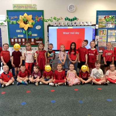 Wear red day